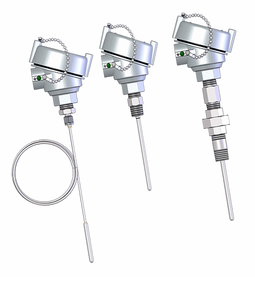 RTD FM Certified Explosion-Proof Assembly