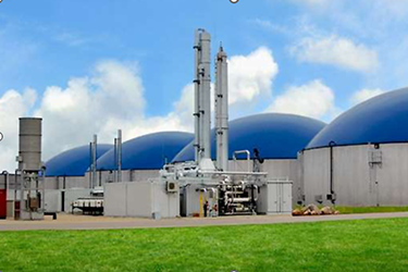 callout image category