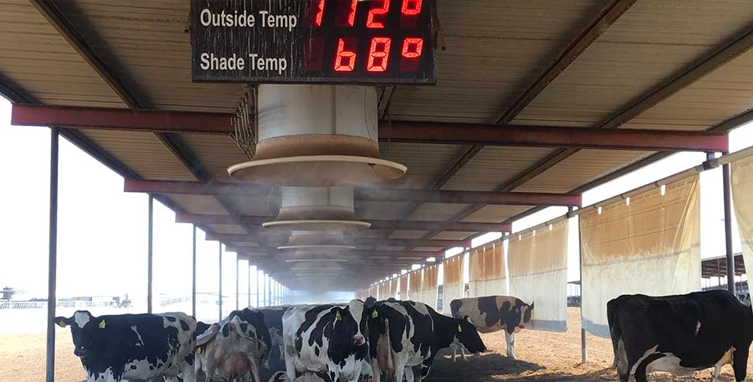 Photo © 2016 usdairy.com