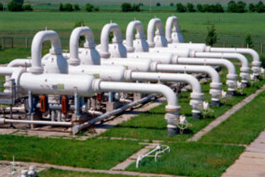 callout image category