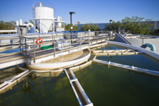 callout image category